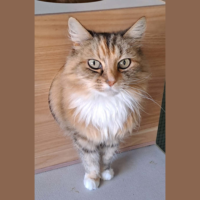 Photo of Hannah