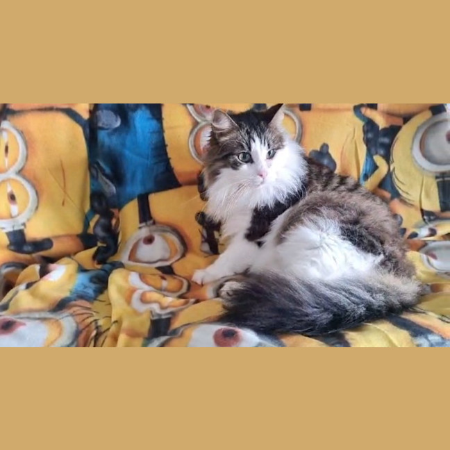Photo of Zuzu