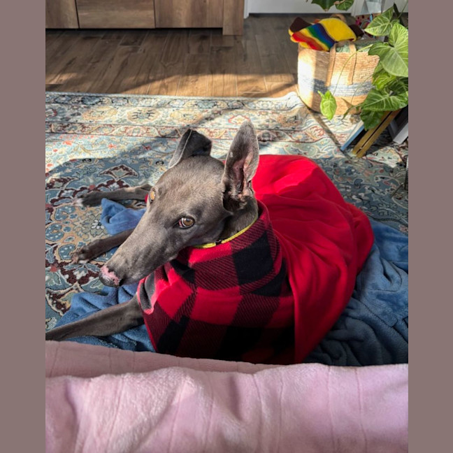 Photo of Cash