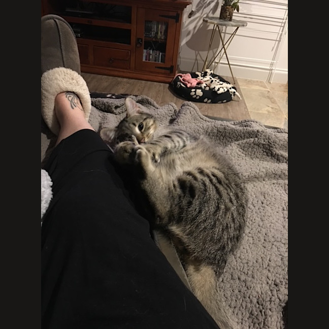 Photo of Archer