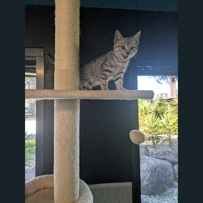 Photo of Timothy 
