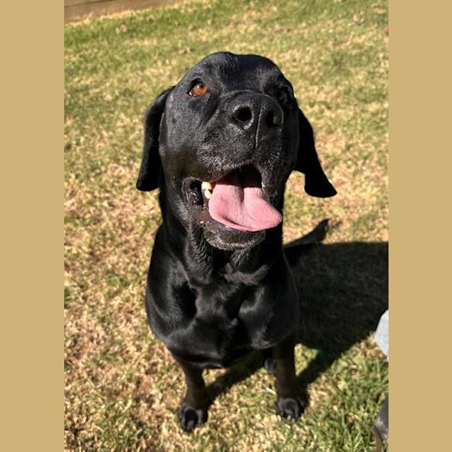 Photo of Storm