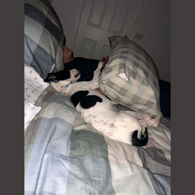 Photo of Beanie