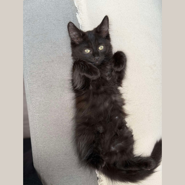 Photo of Adam And Alba   Beautifully Bonded ❤️