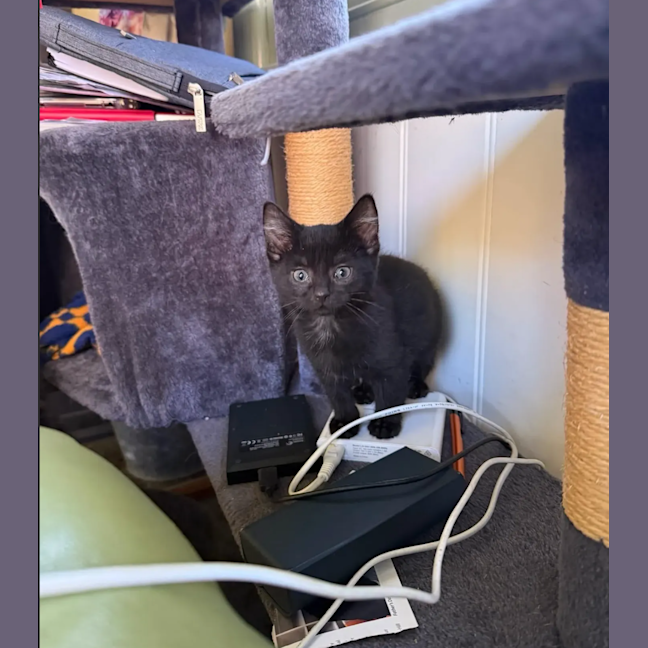 Photo of Pagan