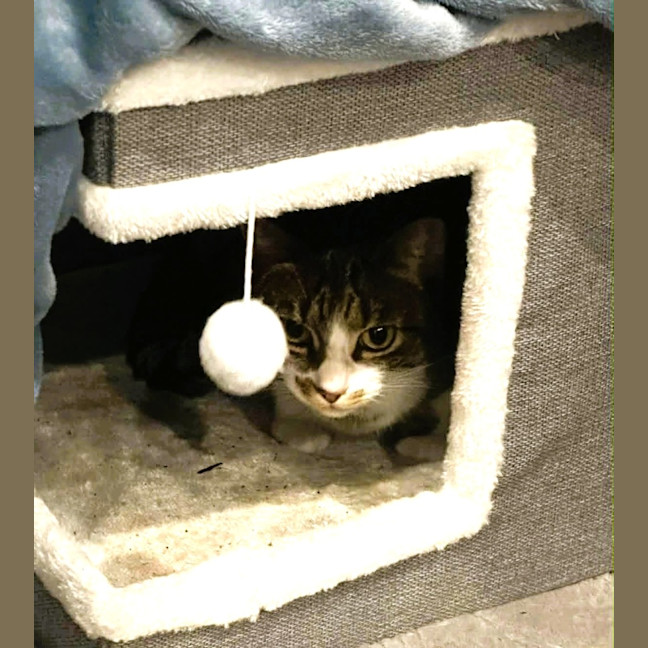 Photo of Mimi