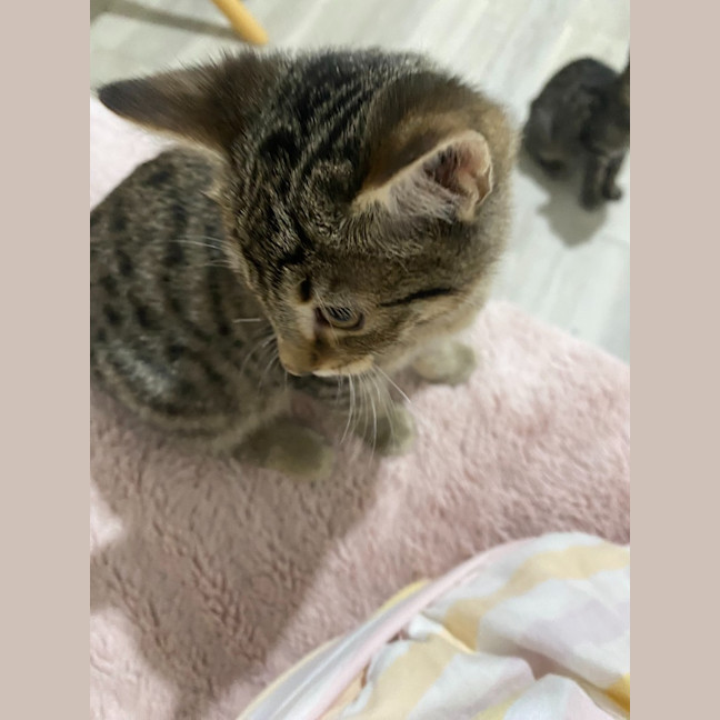 Photo of Mabel