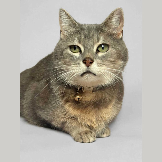 Photo of Maisy Moo