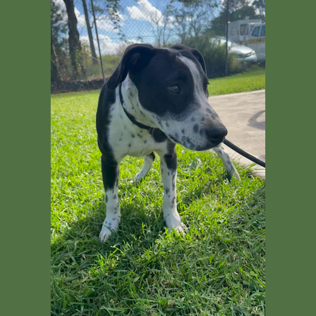 Photo of George