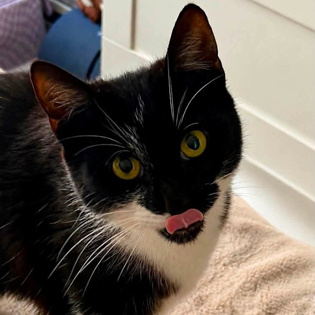 Photo of Pawla