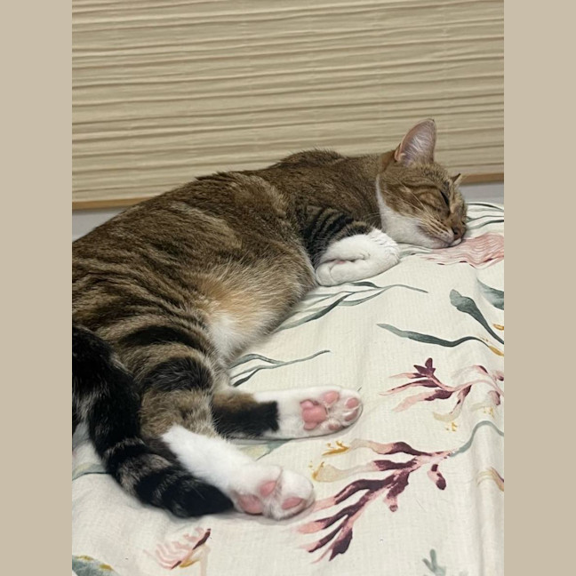 Photo of Princess Lilibet