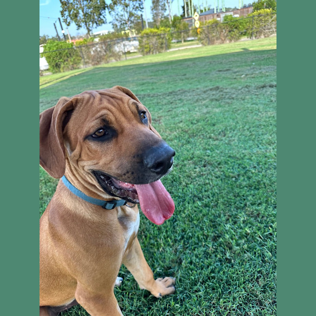 Photo of Tex