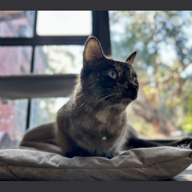 Photo of Paige   Located In Lower Plenty