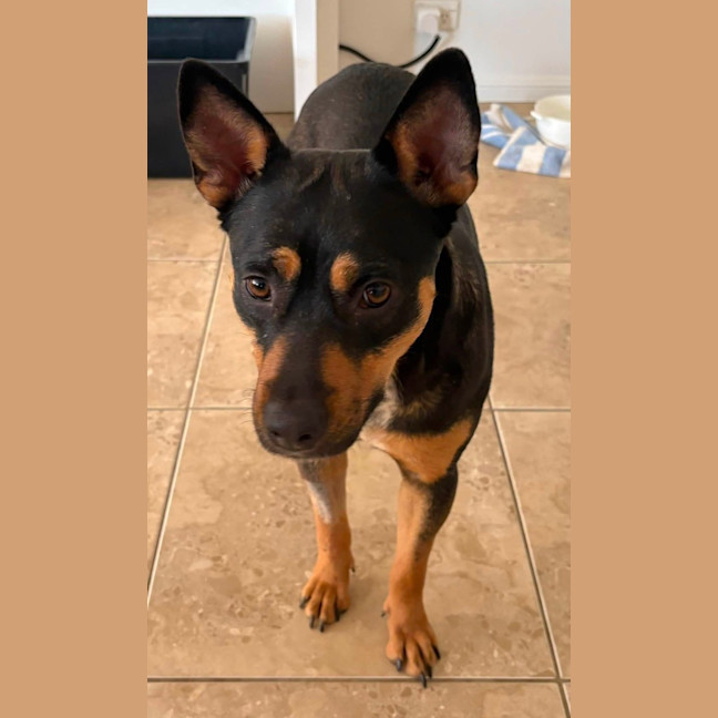 Photo of Winnie