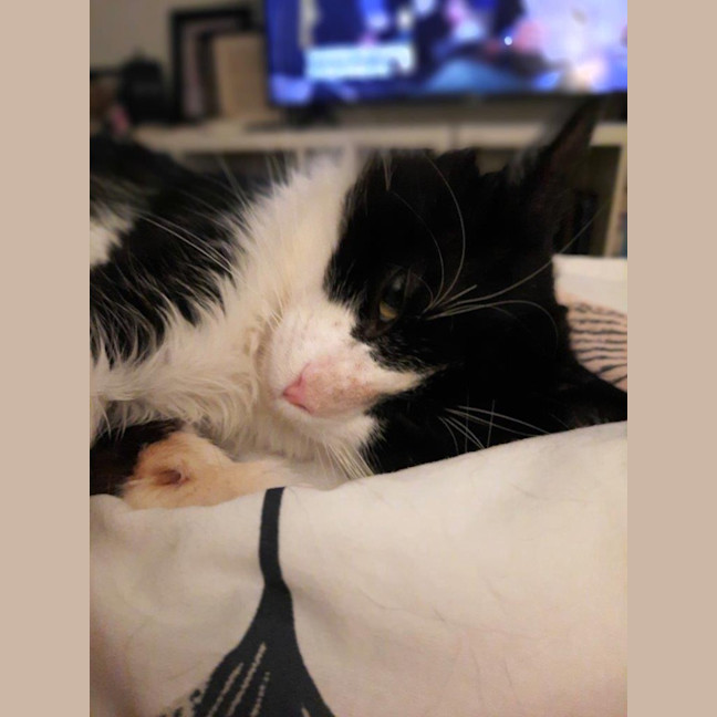 Photo of Dudley Kumara