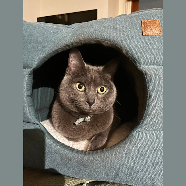 Photo of 💖 Coco 👑