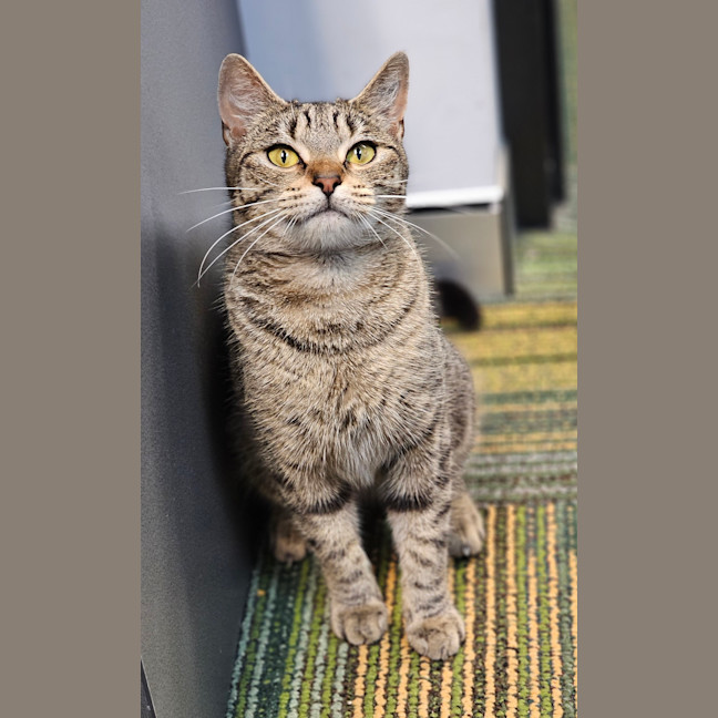 Photo of Luna