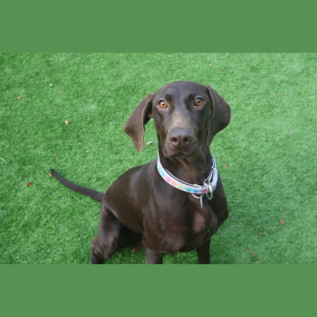 Photo of Maggie