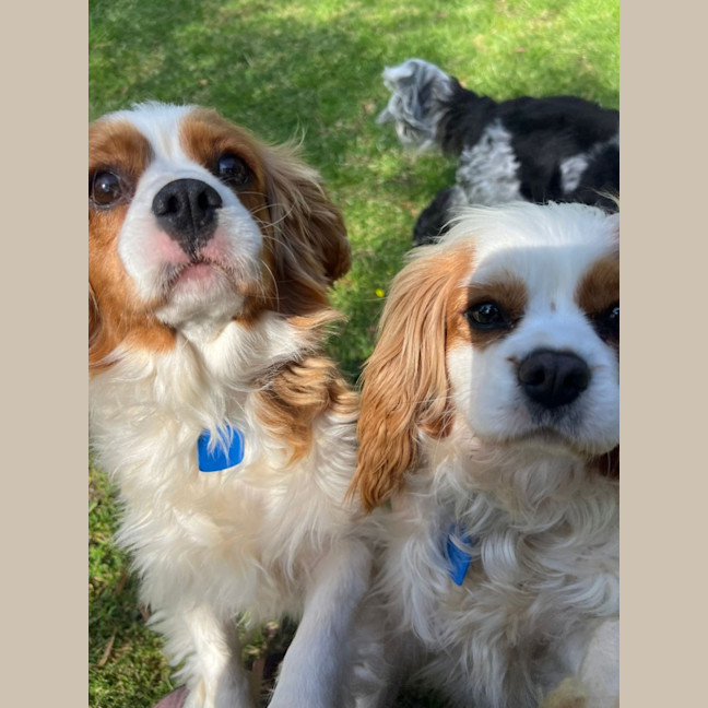 Photo of Bianca And Annie