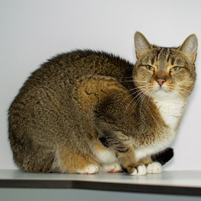 Photo of Silvie