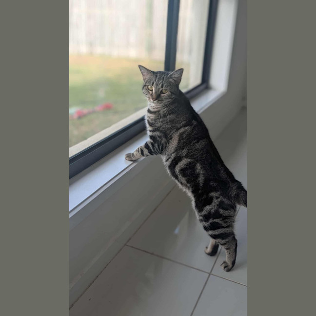 Photo of Susie