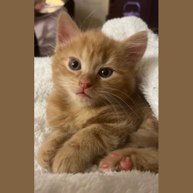 Photo of Artie