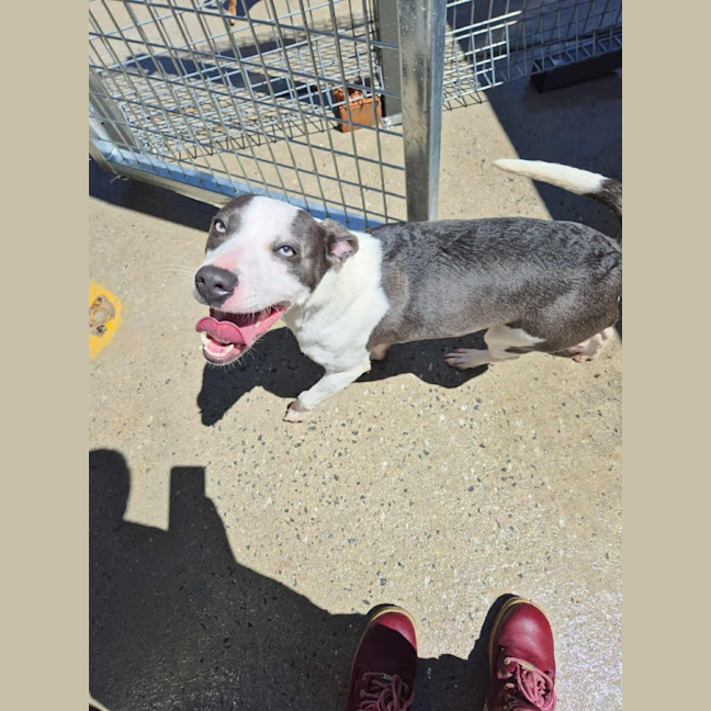 Photo of Zippy! 🪀