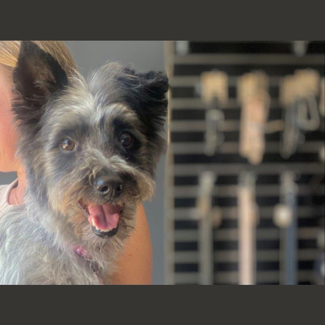 Photo of Truffles O’cleary