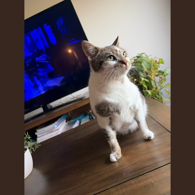 Photo of Betty