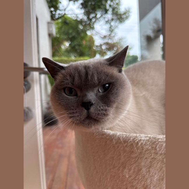 Photo of Ollie & Kobe