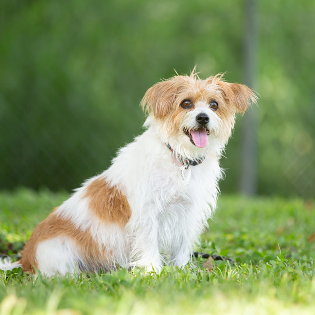 Photo of Heidi