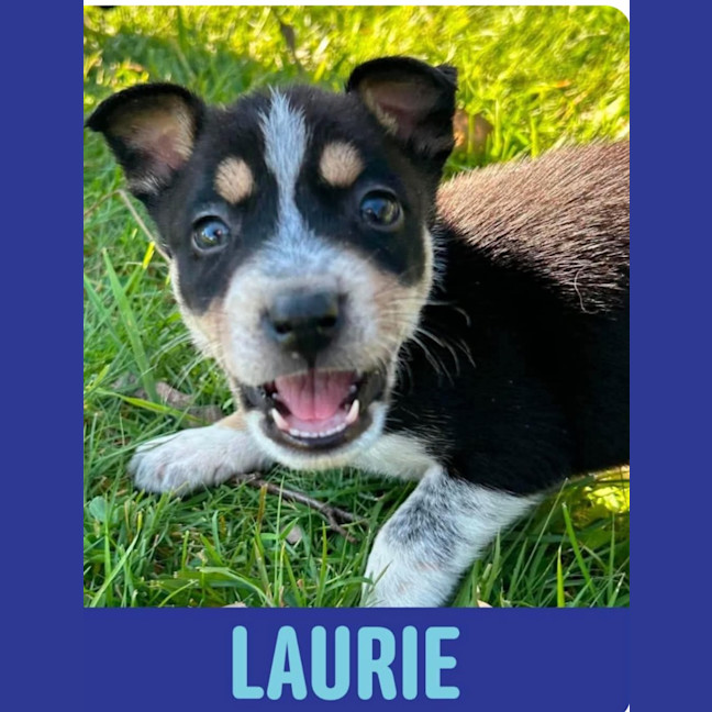 Photo of Laurie
