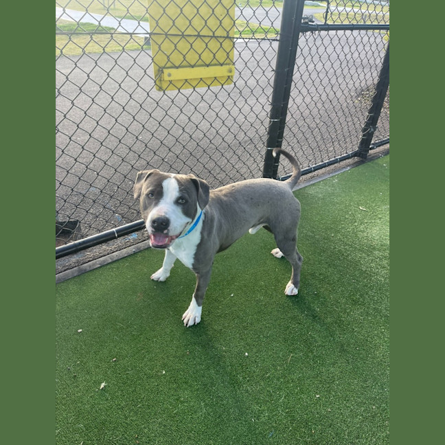 Photo of Jax Imp 1405