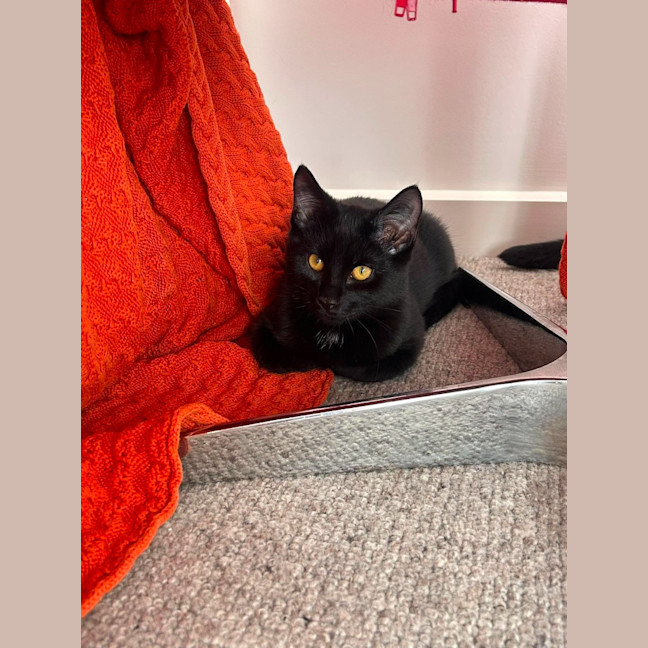 Photo of Bruce