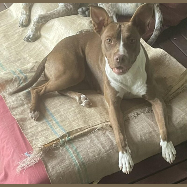 Photo of Coco C