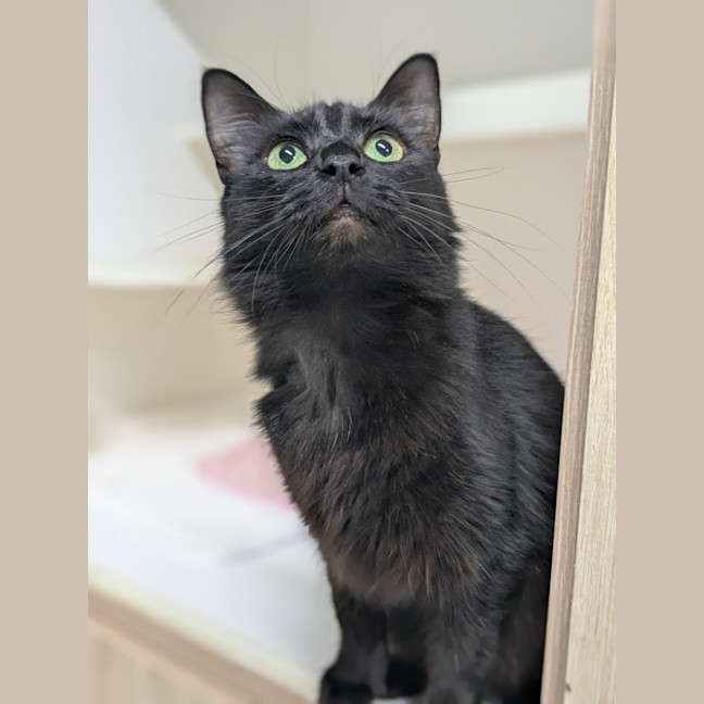 Photo of 🍓 Miriam 5923 🍓