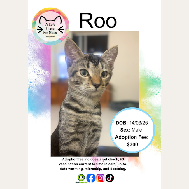 Photo of Roo