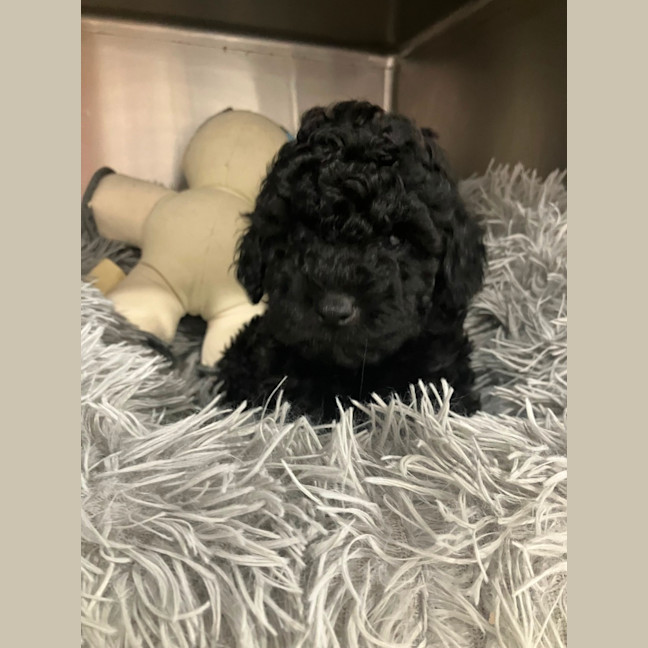 Photo of Jon Snow 