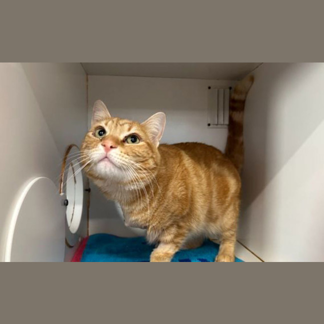 Photo of Mittsu