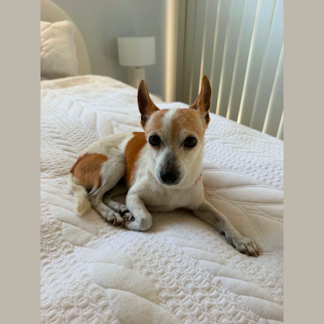Photo of Bella