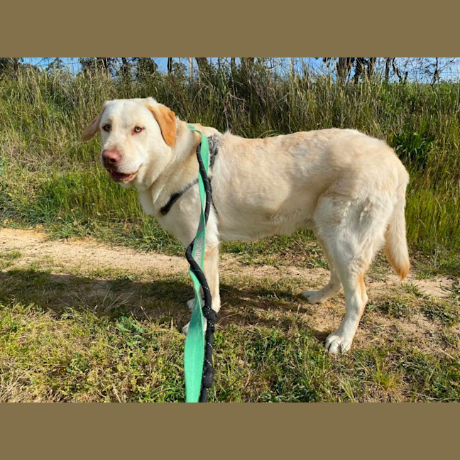 Photo of Max