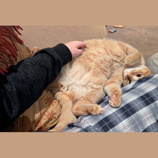 Photo of Jasper