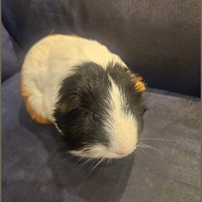 Photo of Mickey