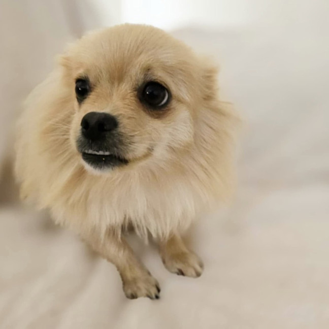 Photo of Mia 