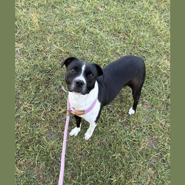 Photo of Izzy