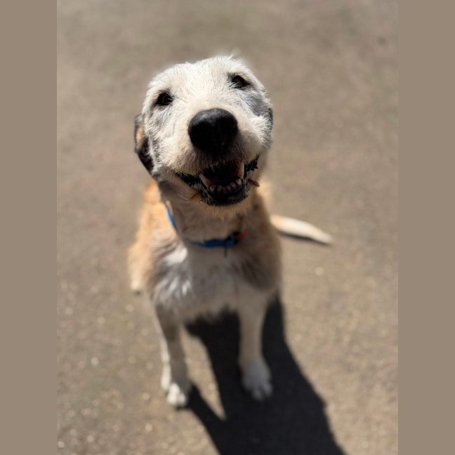 Photo of Molly