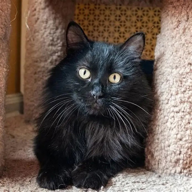 Photo of Alby