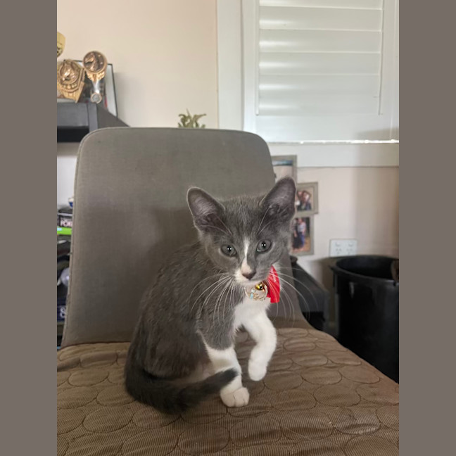Photo of Riot