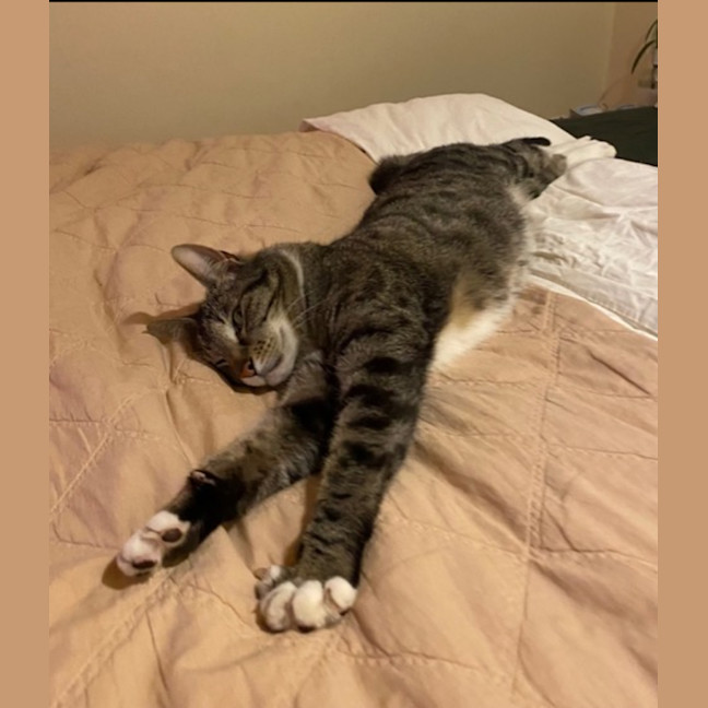 Photo of Henry