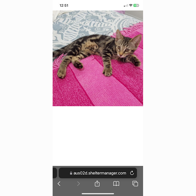 Photo of Willow